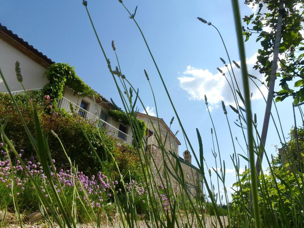 Casarciccia Guest House Тоди Стая снимка