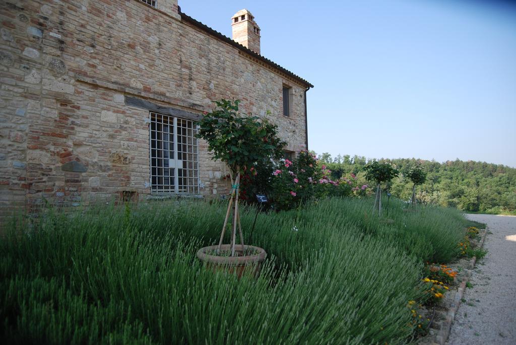 Casarciccia Guest House Тоди Екстериор снимка